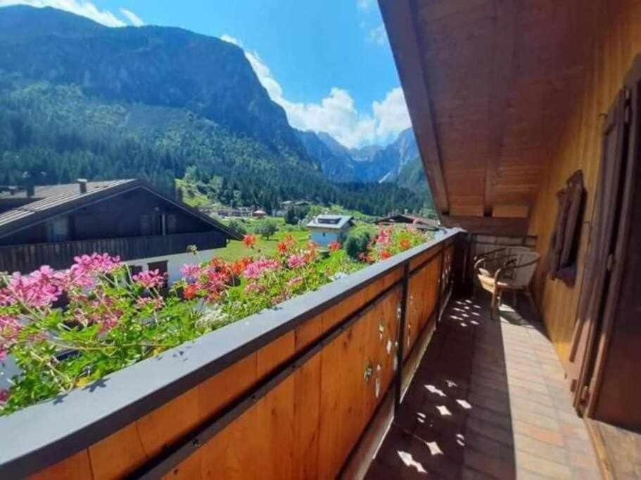 Apartmán La Mansarda In The Dolomites Jacuzzi Santo Stefano Di Cadore Exteriér fotografie